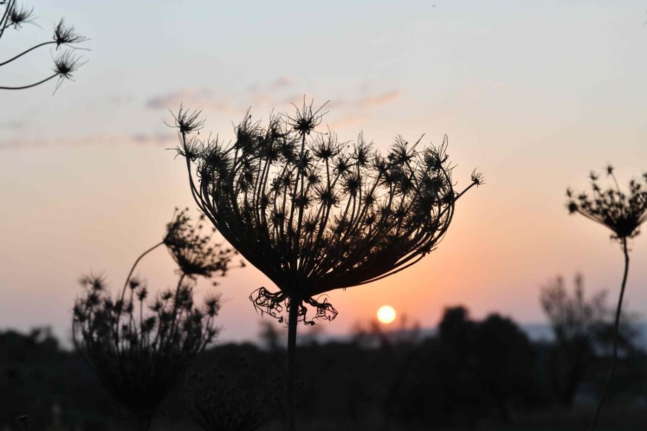 Lasa Black Rock Villa Paphos Esterno foto